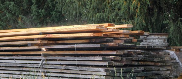 La pathologie du bâtiment et ses implications dans les domaines de la construction et de l'entretien des habitats !